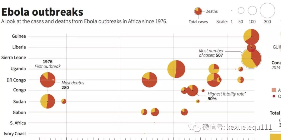 杀死一只兔子的预兆,杀死兔子的方法