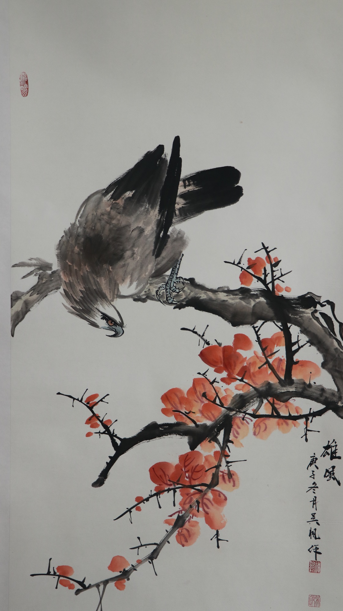 鹰被认为是力量和勇气的象征,鹰只是勇猛胜利的象征吗