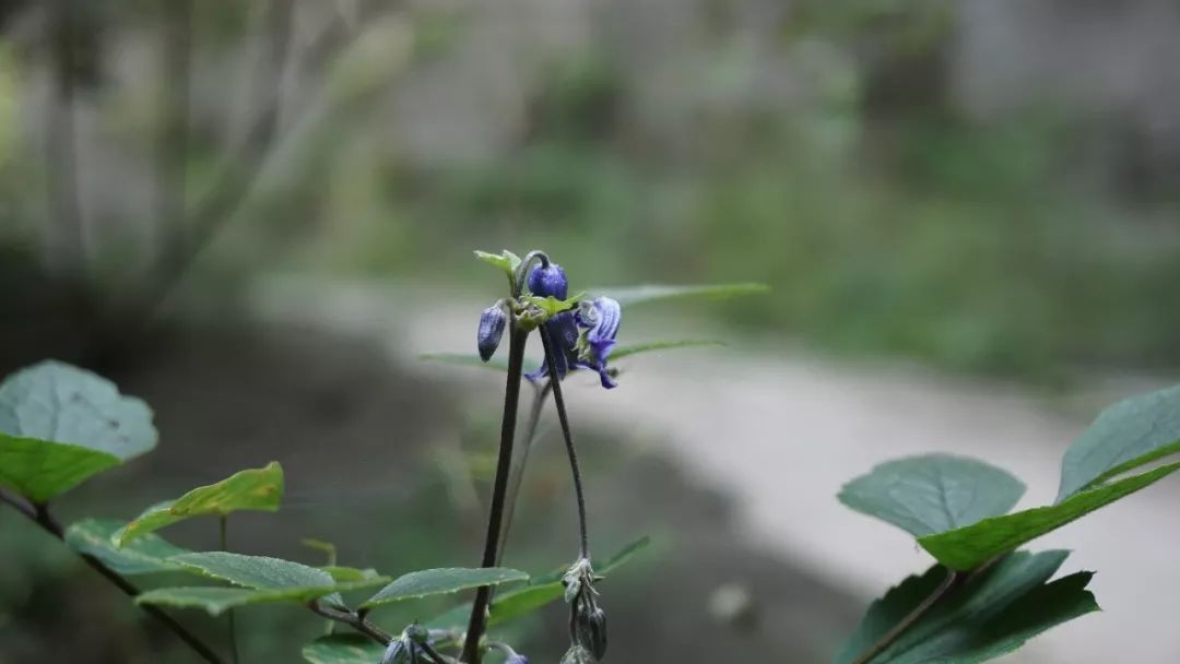 巍巍太行山山峰险峻,太行山奇峰峻岭