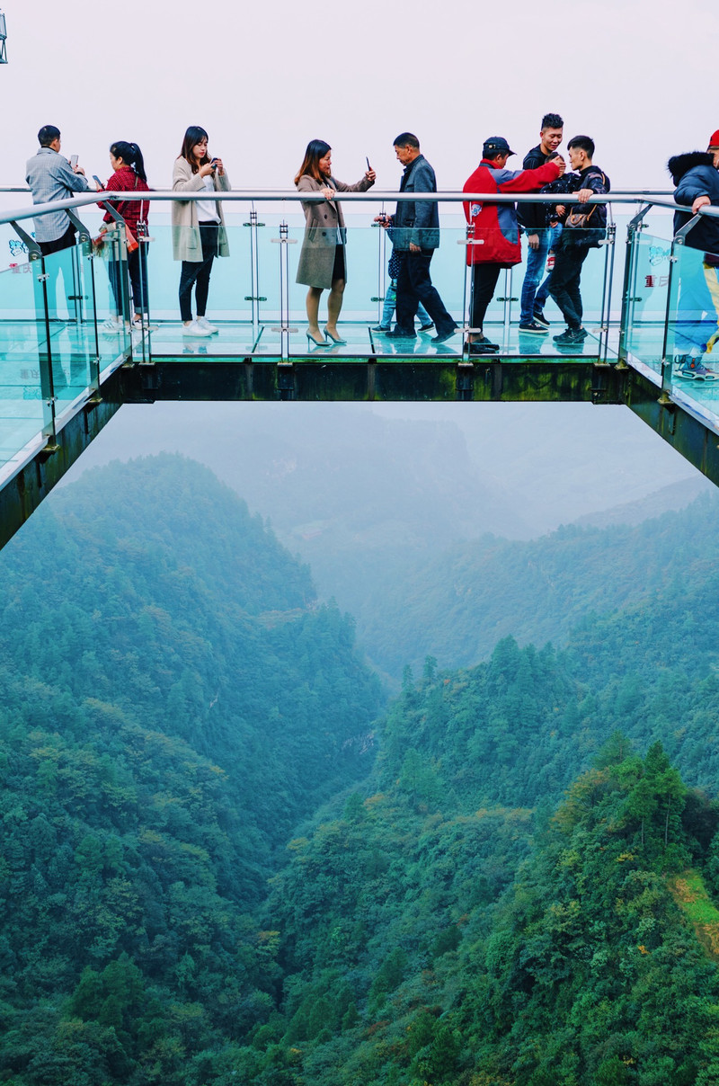 去奥陶纪的路线,梦幻奥陶纪景区路线