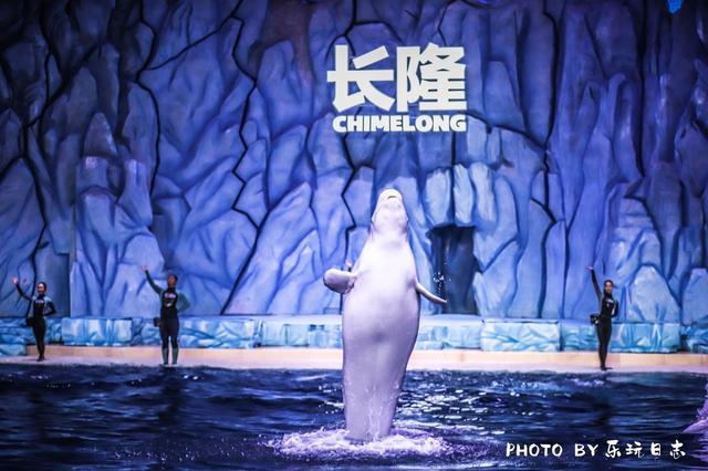 珠海亲子游必玩景点,珠海一日游适合带孩子玩的景点