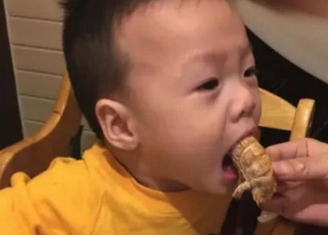 一周岁脾胃不好吃什么辅食,1岁宝宝脾胃不好吃什么辅食简单