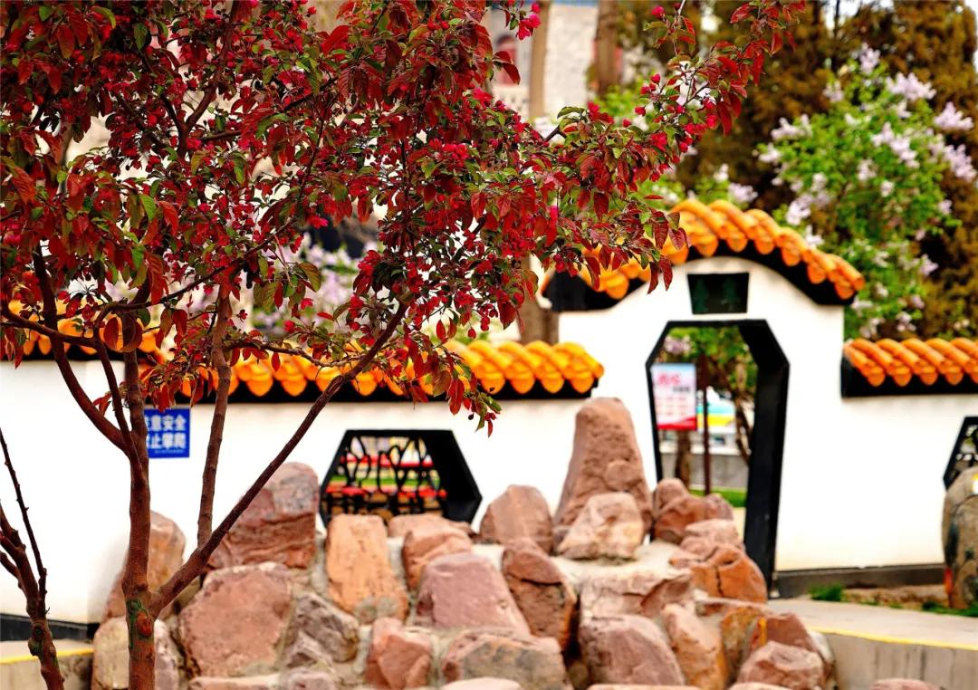 宁夏银川街心公园,银川兴庆区宁园门票多少