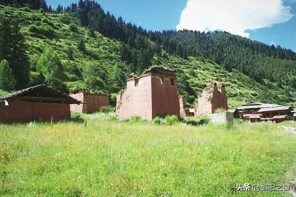 四川若尔盖，中国最美的高寒湿地草原，川西北高原上的绿洲