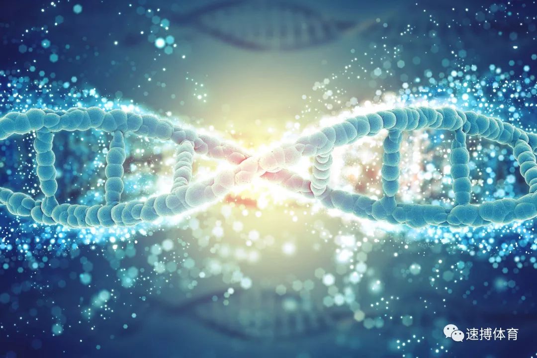 什么时间段运动最容易长高,运动多长时间有助长高