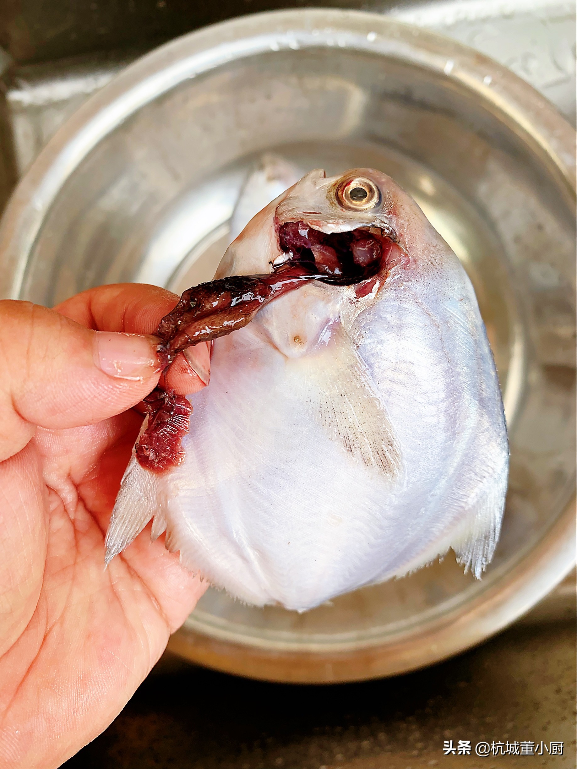 大厨红烧鲳鱼最正宗的做法,蒜子鲳鱼