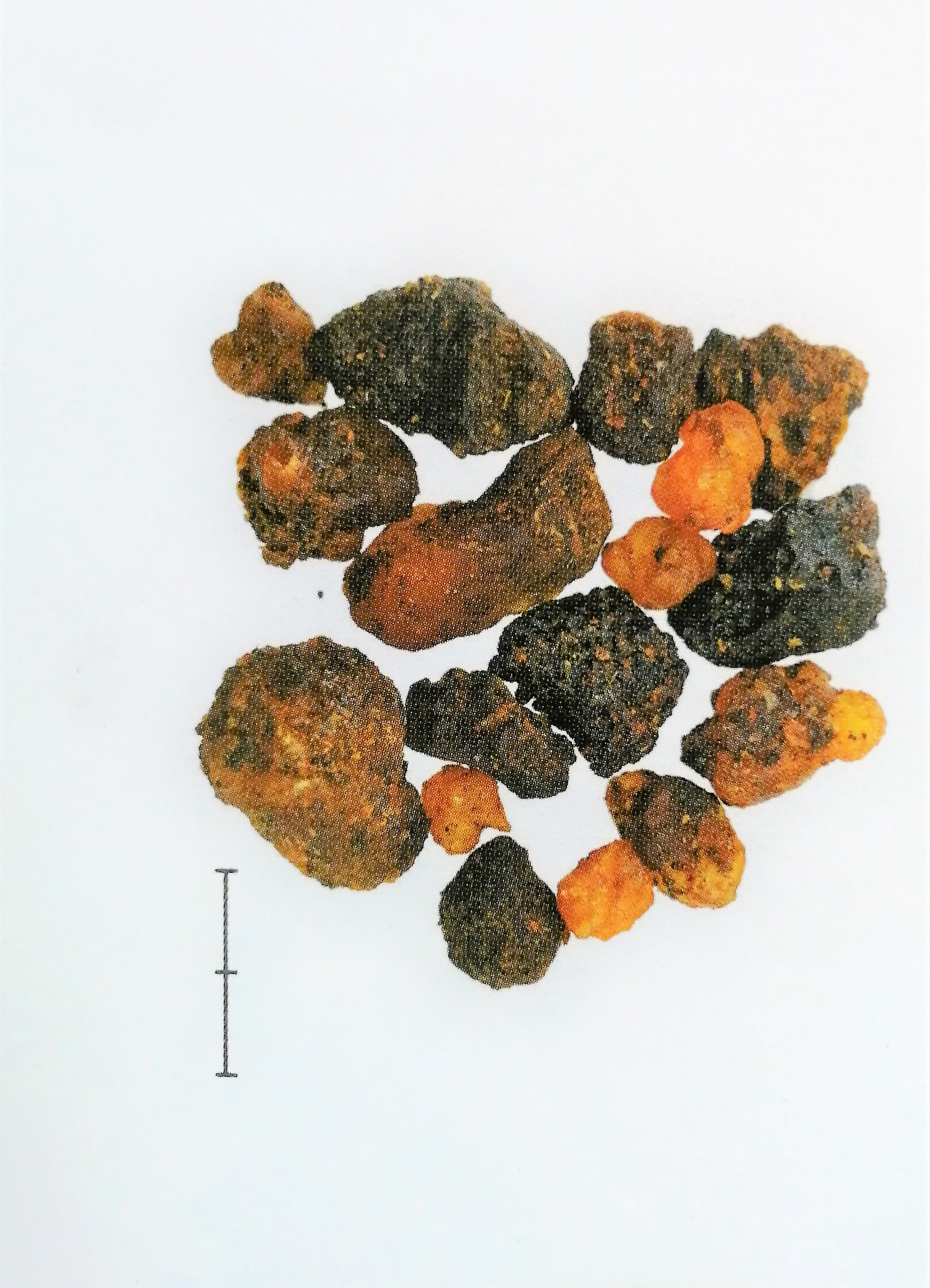 止痛中草药第一名,散瘀止痛的最佳方法