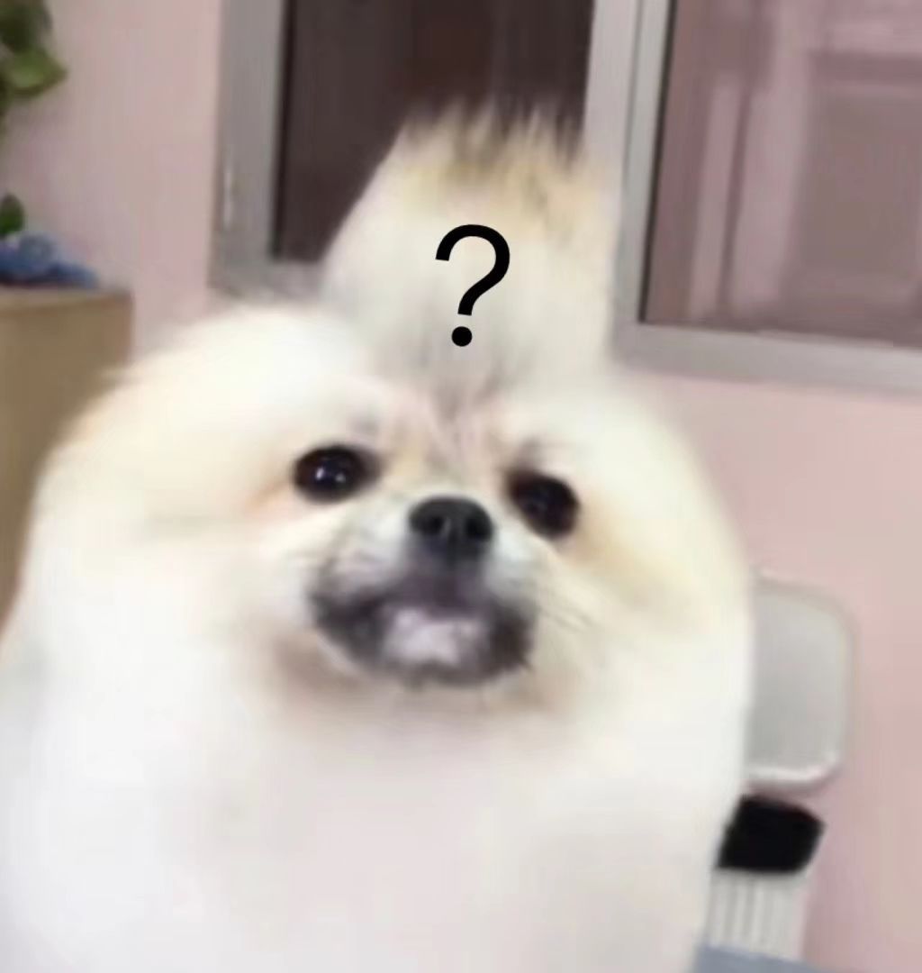 狗狗第一次来姨妈很肿,狗狗第一次来姨妈拉肚子