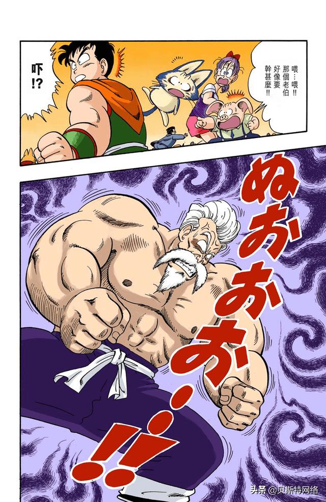 看龙珠感悟,龙珠龟仙人看布尔玛