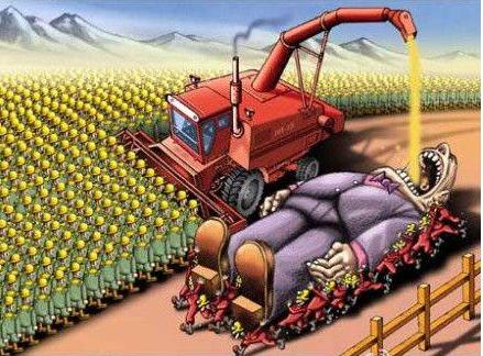 原油杀猪盘最新案例,原油期货最大的教训