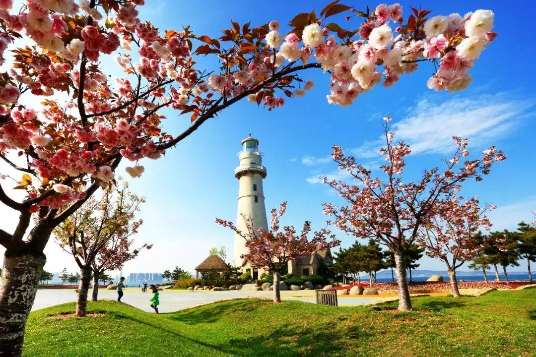 威海景点免费开放,威海拥军卡景点免费