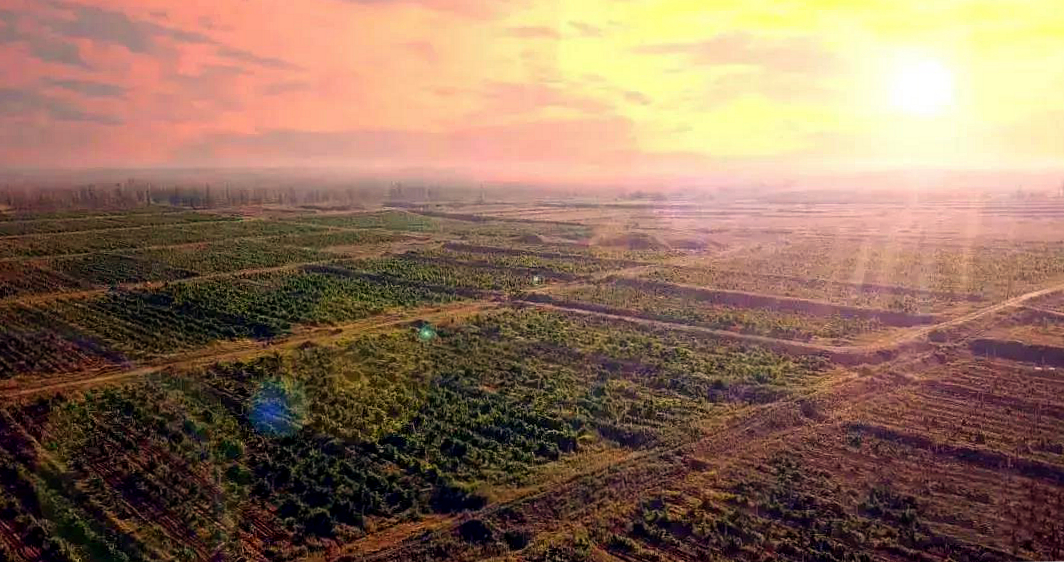 2018值得购买红酒,法国红酒和智利红酒哪个好