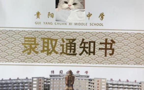 录取通知书被撕坏了能报名吗,录取通知书成废纸