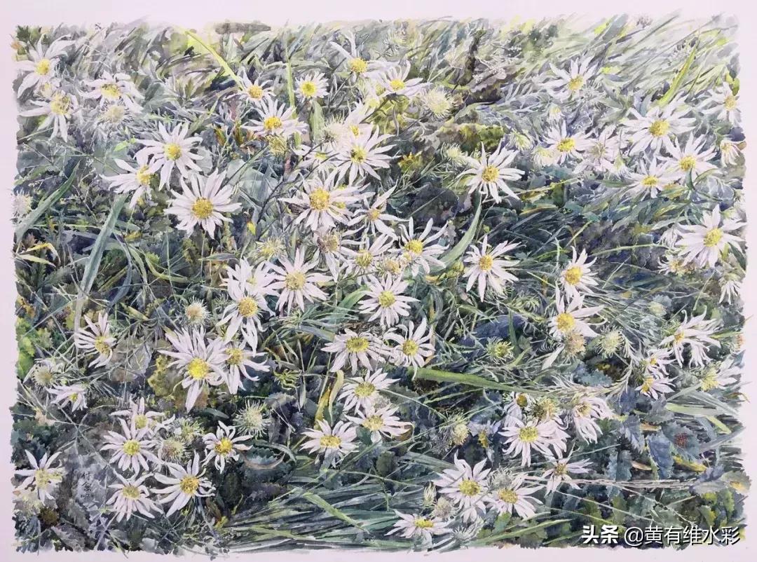 小清新水彩画玫瑰花,水彩画雨中玫瑰