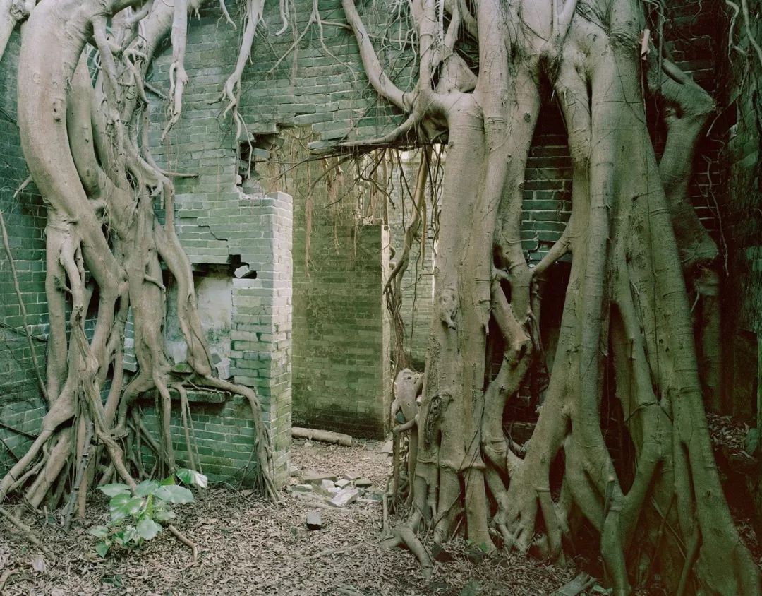 中国荒村纪录第一,中国的荒村记录