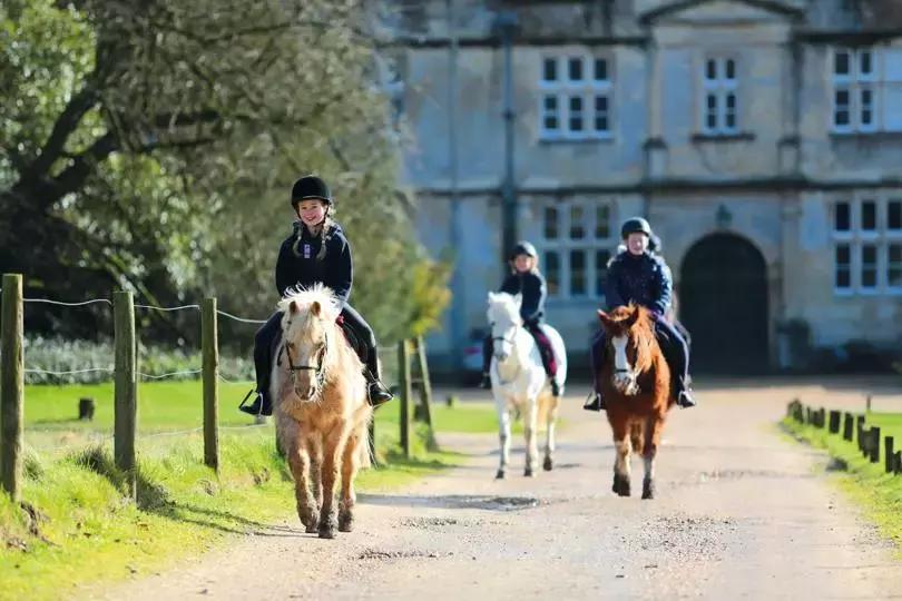 英国学校都是男女分开的吗,英国20世纪性别歧视