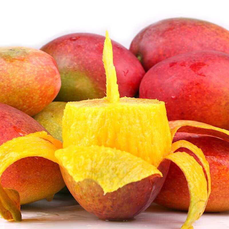 芒果好吃难挑选学会这个挑选技巧,买芒果买青色的好吗