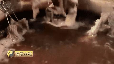 适合广东人吃的冷串串,香味四溢的串串