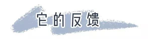 火遍日本的国产面膜,敷尔佳清痘面膜真实测评
