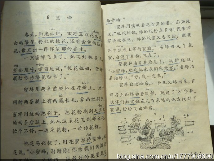 珍藏版：1987-1988年人教版五年制小学语文全集