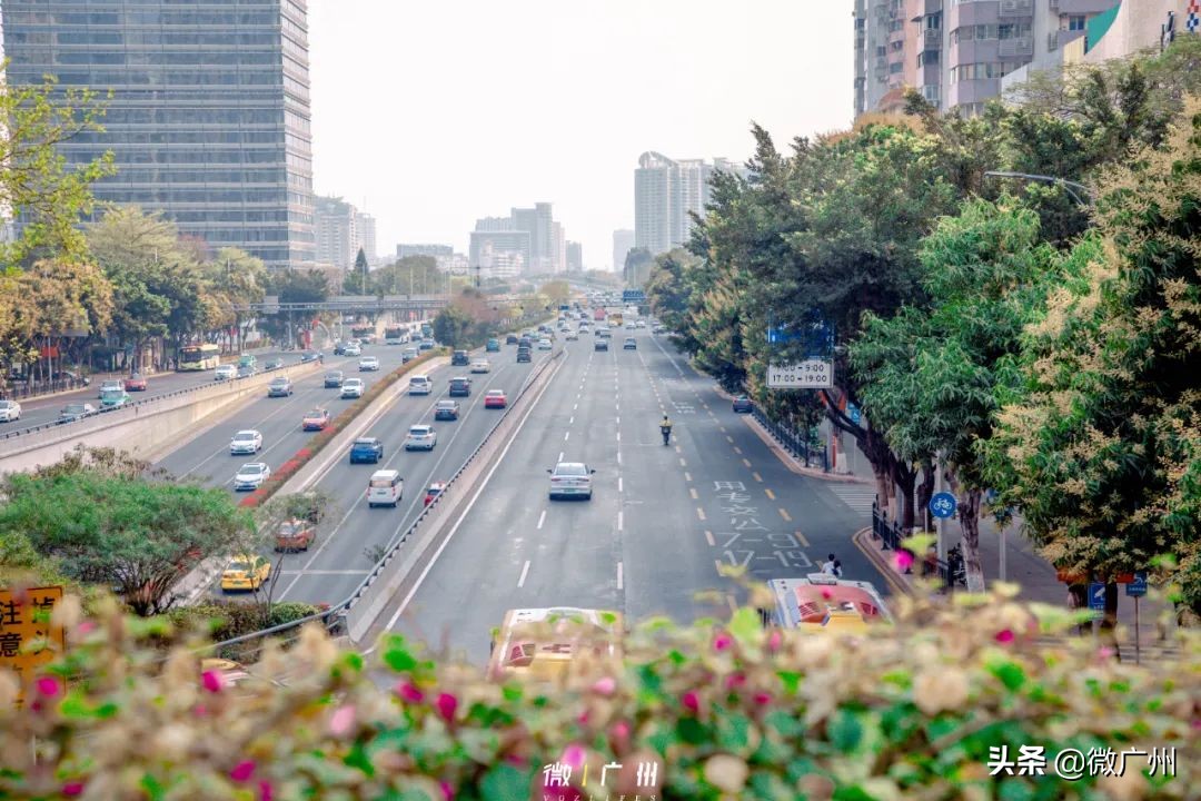 广州五羊邨富人区,广州被遗忘的荒村