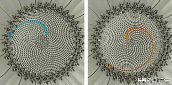数学直观图,数学直观图画法