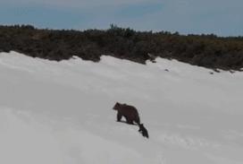 被囚34年取精，被迫亲手杀死爱子，最后只能挣扎着死去…