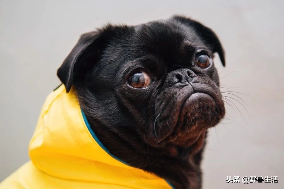 这4种维生素80%人非常缺,三秒判断出缺哪种维生素