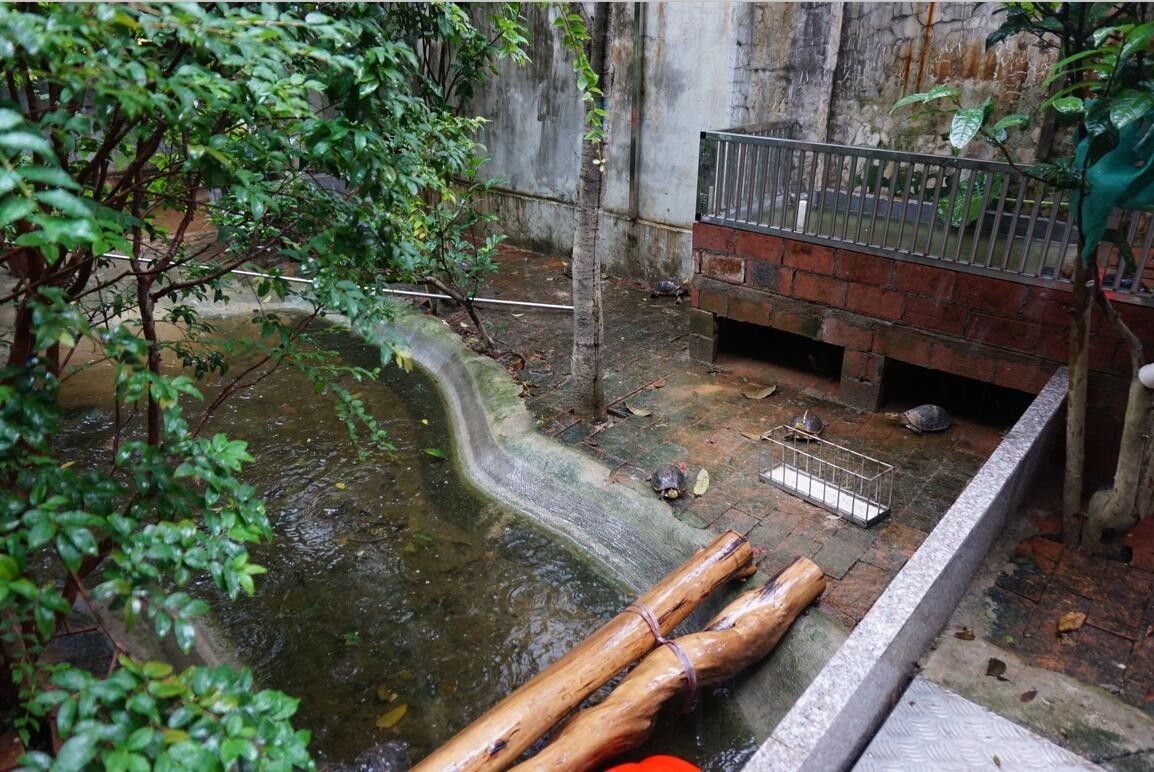 金钱龟是不是骗局,金钱龟未来十年行情