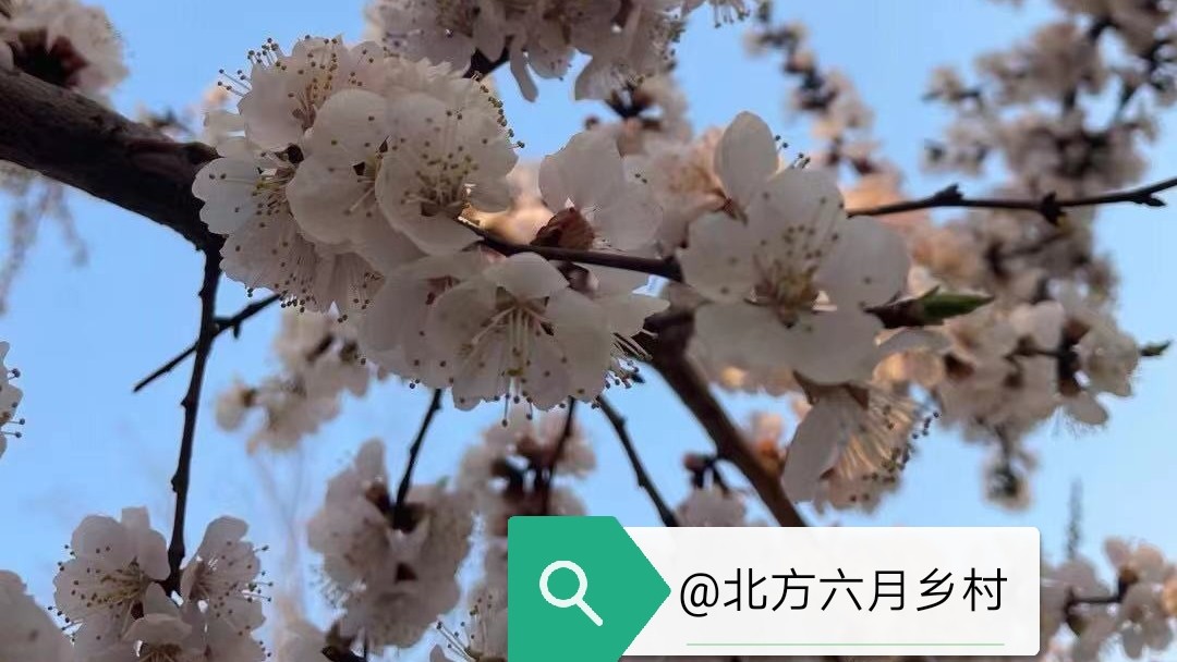 婆媳月子仇完整版,为什么月子仇这么难以释怀