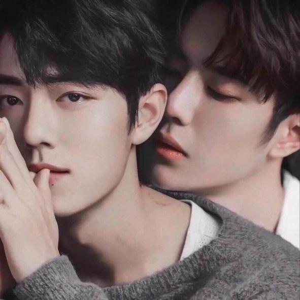 饭圈女孩与贴吧出征,饭圈女孩联合帝吧出征