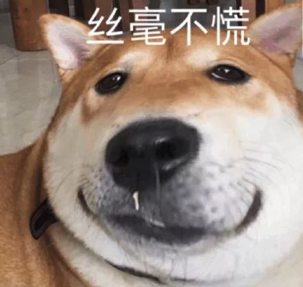 墨尔本留学生日常生存观察实录,墨尔本华人留学真实生活记