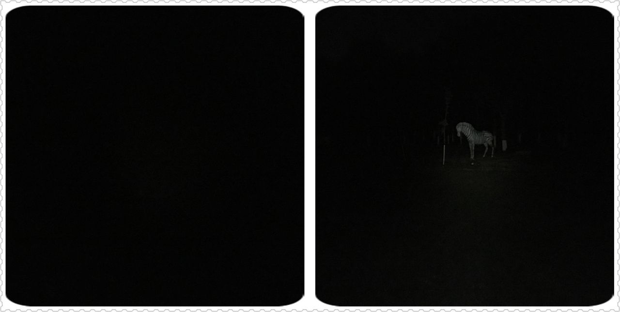 亮骚本领强！售价568元的迈偲特TS70手电筒入手评测体验