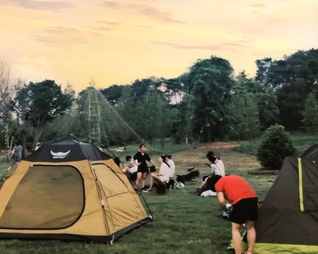 紫薇园宿州露营音乐节,中华紫薇园露营