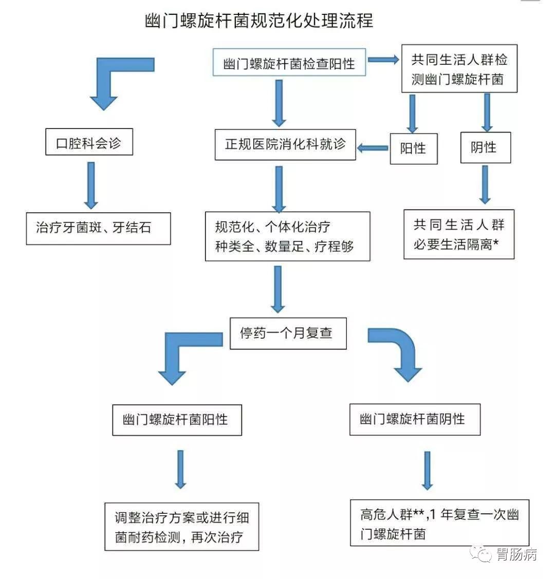 感染了幽门螺杆菌怎么办？看这个标准处理流程！