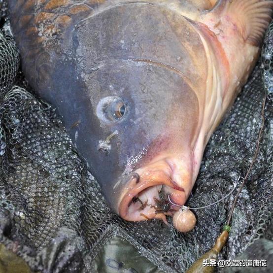 最适合打窝的装备,低调打窝三大装备