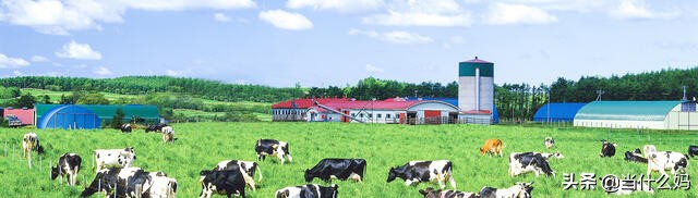 汇滋力有机奶粉和飞鹤有机哪个好,有机奶粉跟有机a2哪个好