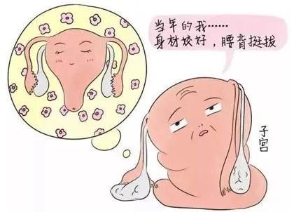 为什么要做产后康复,产后七日康复操视频