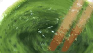 上海青团最正宗,上海南京路老字号青团