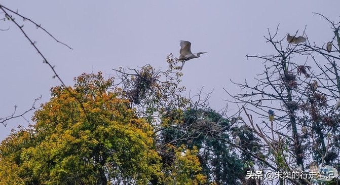 江南最大湿地风景区，不是西溪湿地，荣获中国最美湿地却少有人知