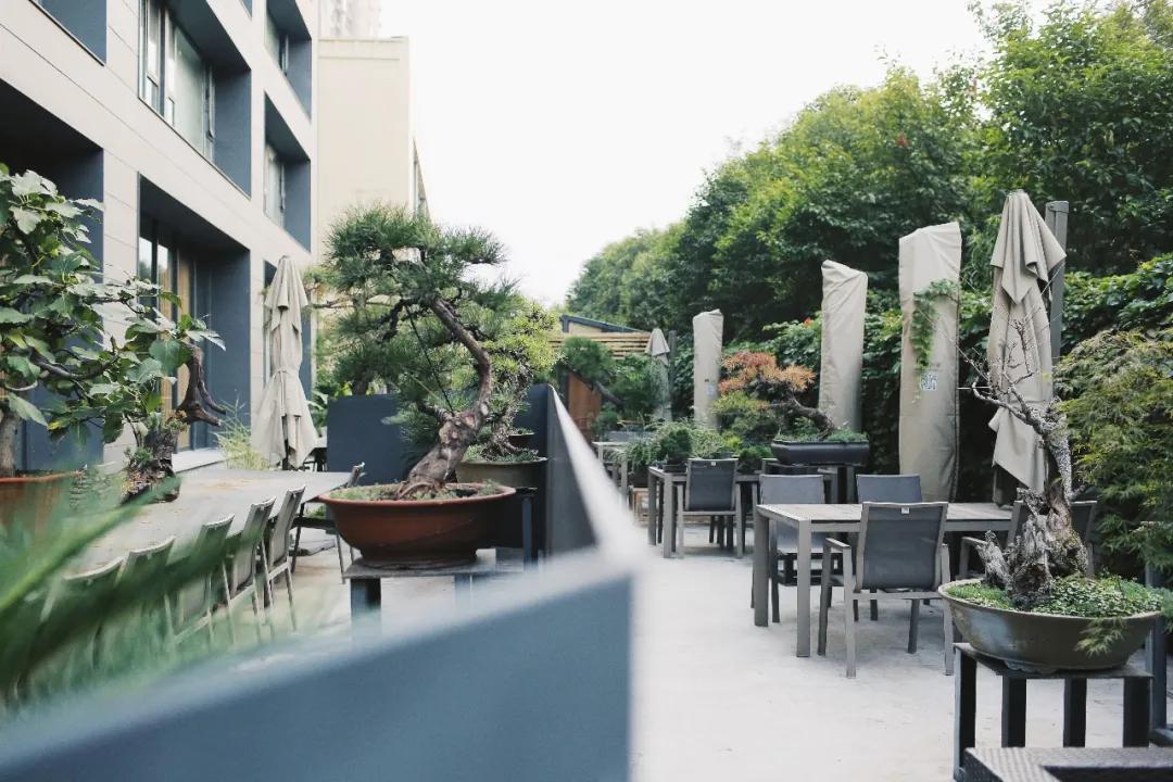 用三年时间雕琢洛河边上的西湖味道，劳斯莱斯级别的美食享受