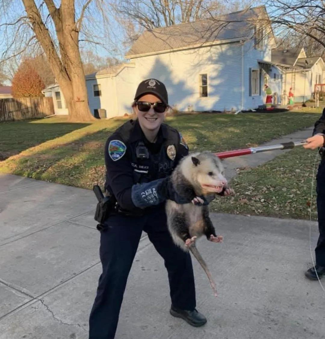 30张活久见的巨物照片,23张令人窒息的照片太像了