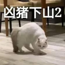 许愿就必须用相应的任务来还愿,许愿是一件很神圣的事情