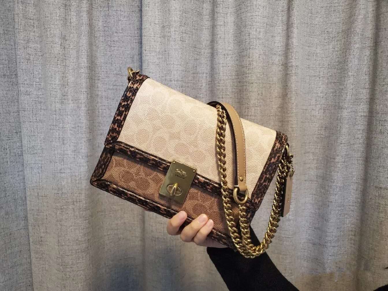 之前辱华的有哪些品牌,蔻驰辱华事件始末