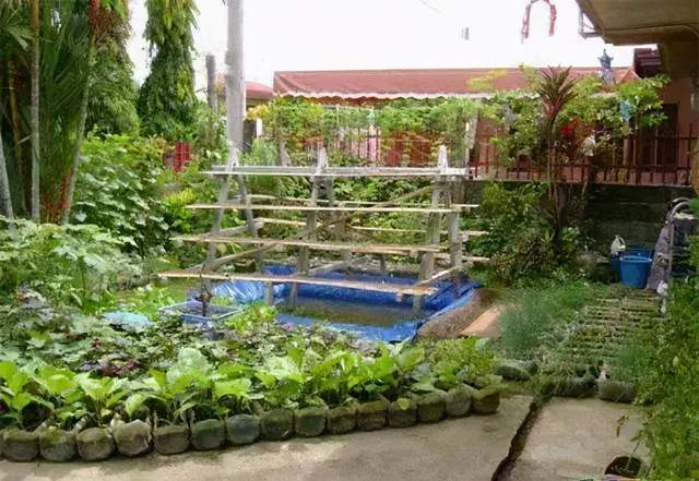 塑料瓶做家里可以用的东西,用塑料瓶做家里又漂亮又好的东西