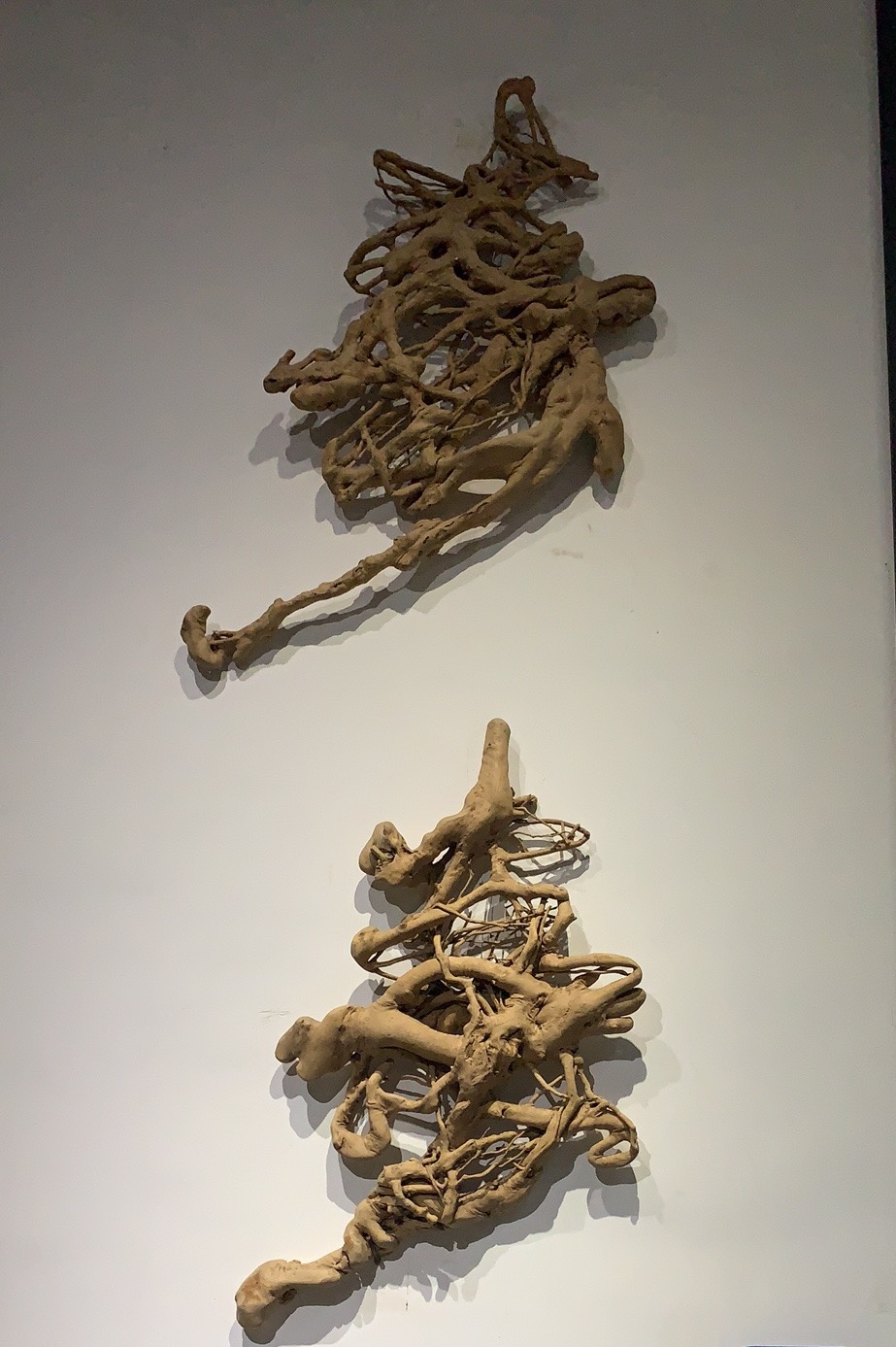 蓝池少儿舞蹈,蓝池少儿拉丁舞教学法怎么样