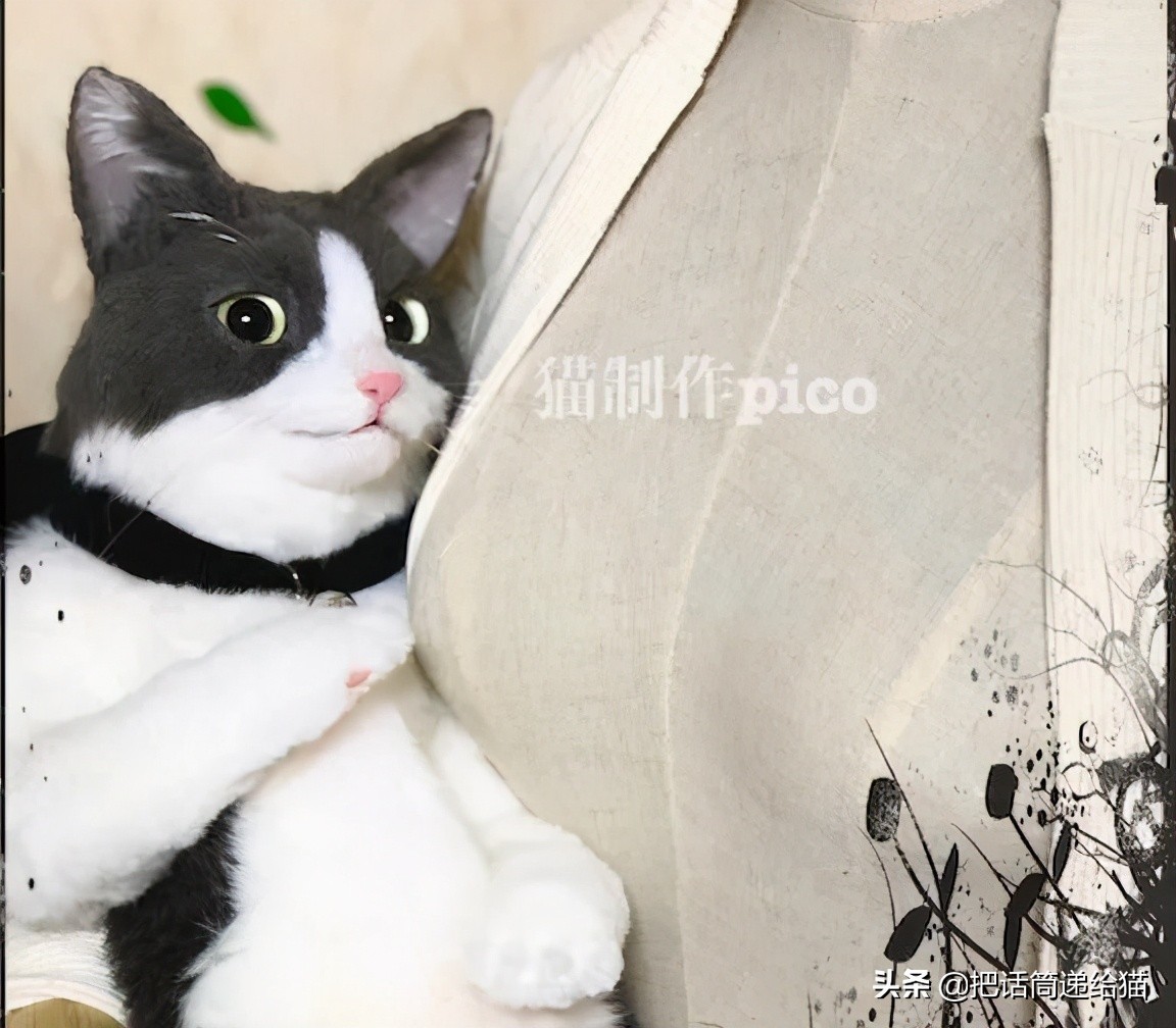 日本网红猫包,日本网红猫咪包