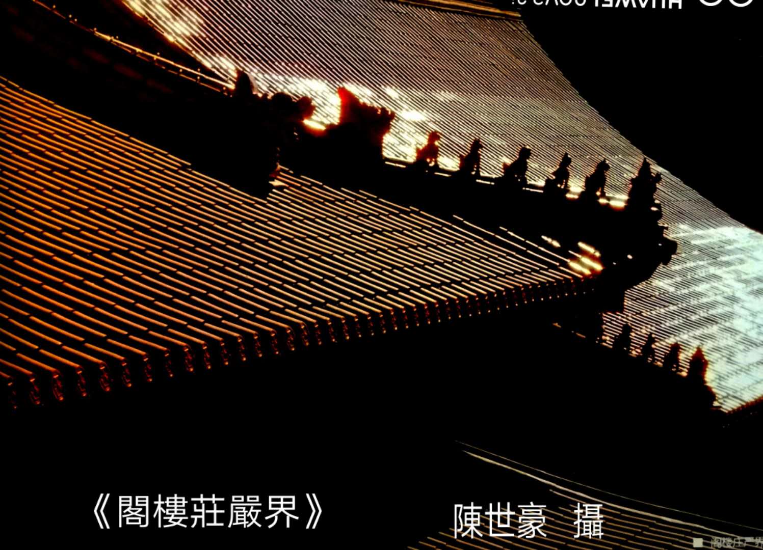 陈世豪摄影集《心弦》部分作品分享