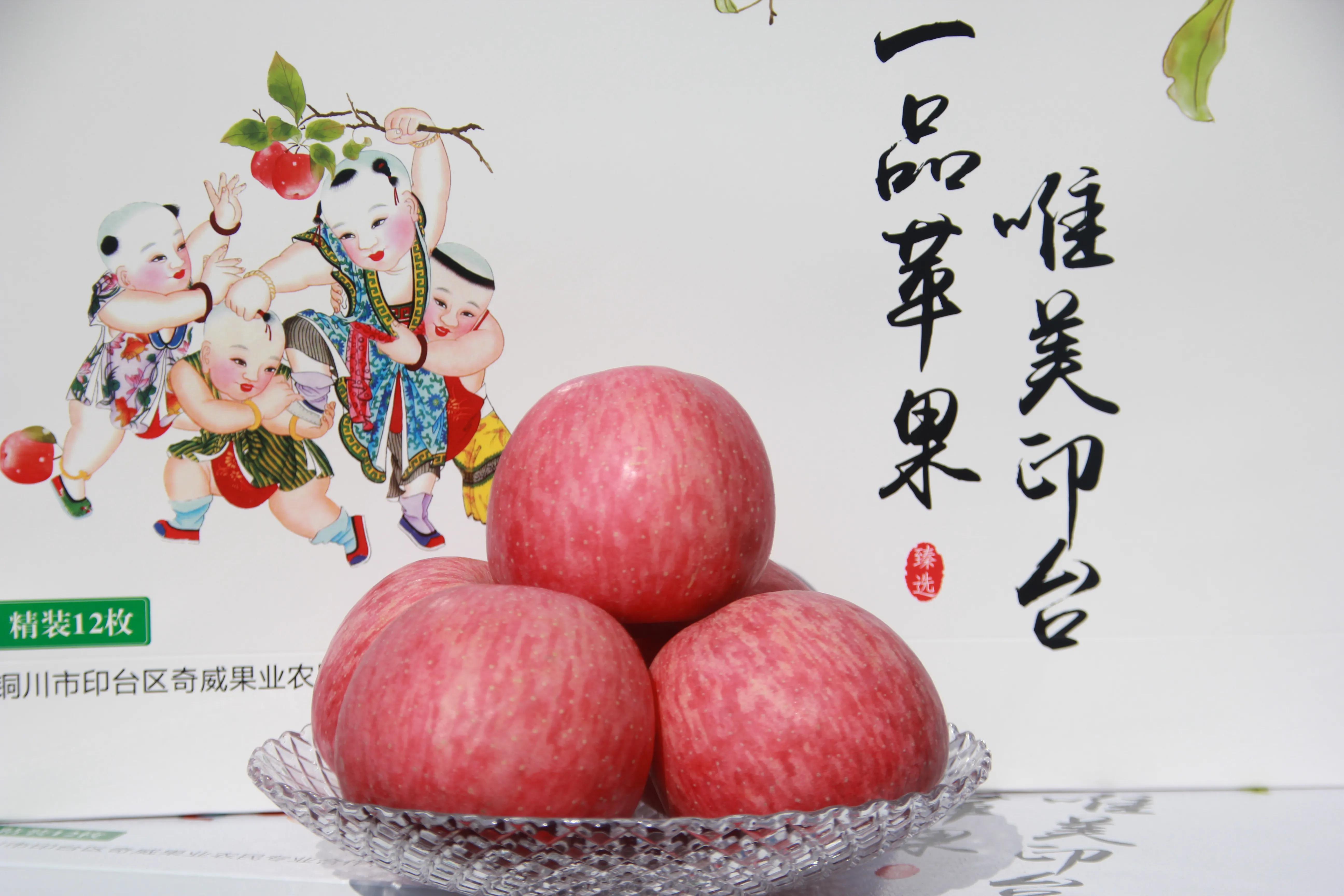 一品苹果·唯美印台，陕西果业产区行走进铜川印台区苹果优生区