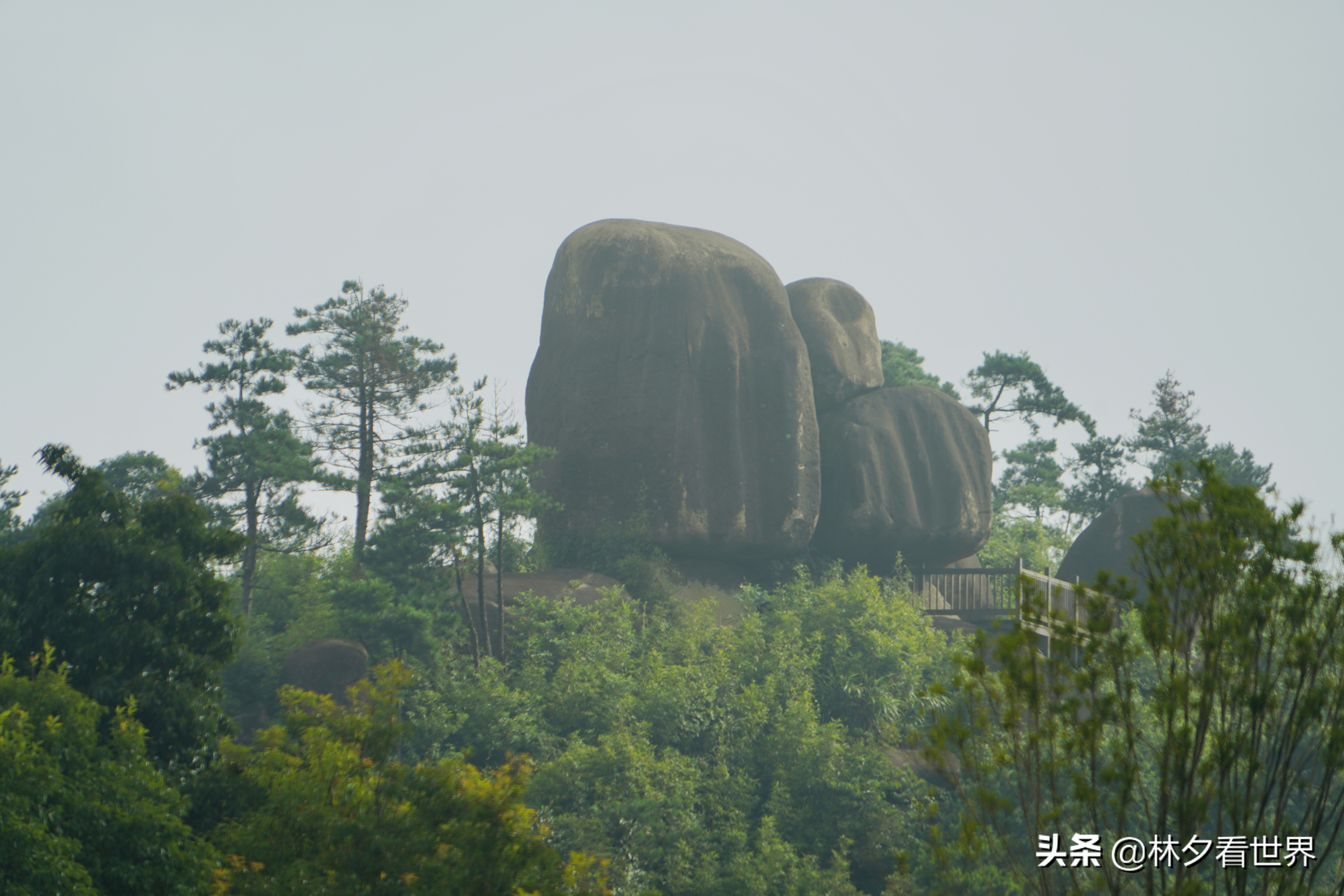 苍南最佳景点排名前十名,浙江苍南最美的地方